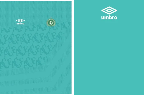 chapecoense 22