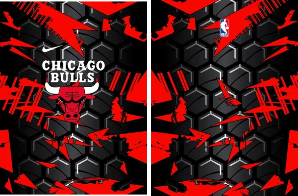 chicago bulls nba concept