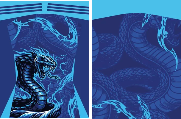 cobra sports design