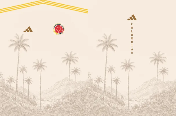 colombia concept palmera
