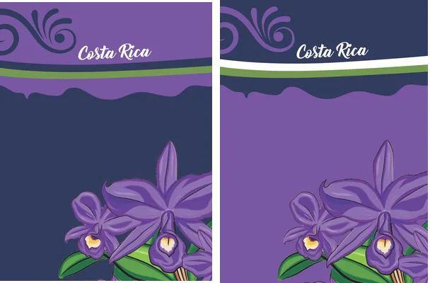 costa rica design flowers