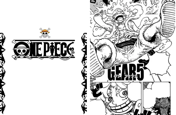 design one piece concept