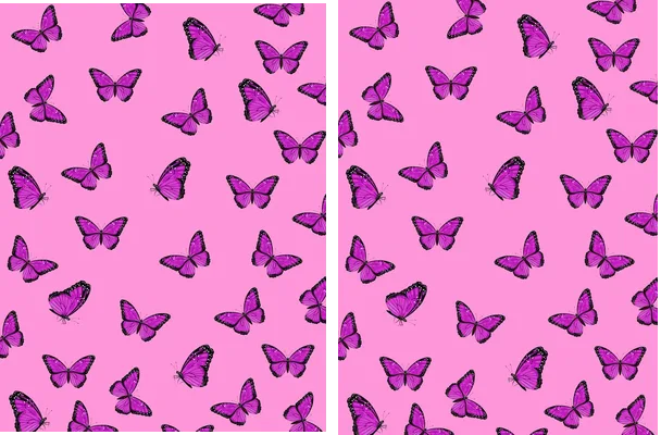 design vector pattern mariposas