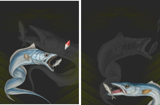 designs pesca espada concept