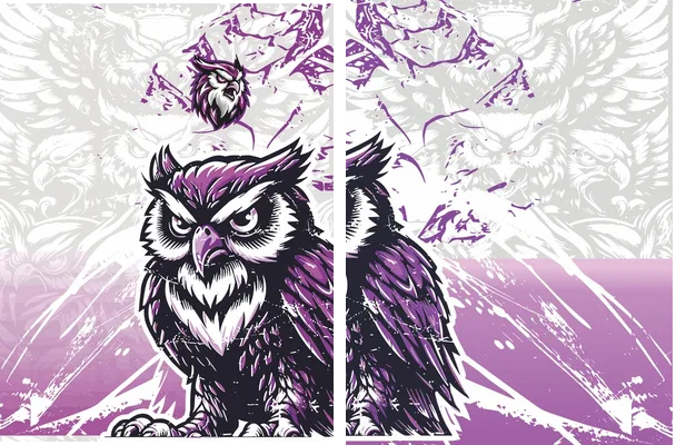 desing buho concept