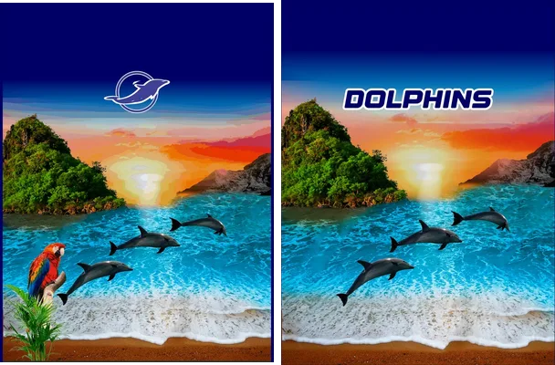 dolphins designs concept ia