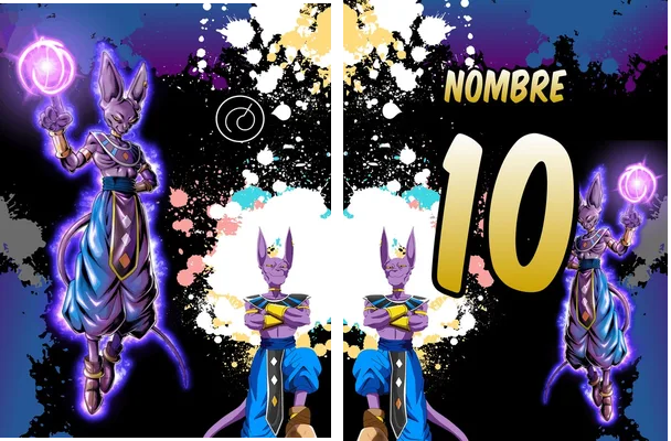dragon ball beerus concept