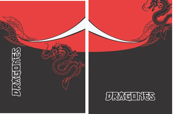 dragones camiseta personalizada