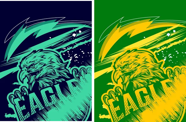 eagles sports designs concept