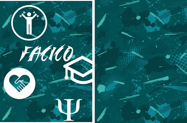 facico sports design