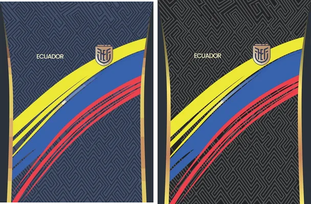 federacion ecuatoriana de futbol concept