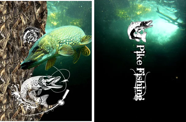 fishing pike designs concept