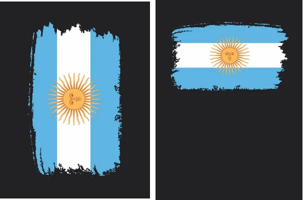flag argentina design