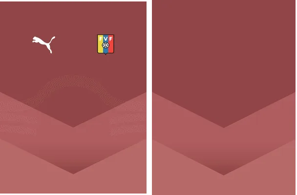 fvf venezuela concept