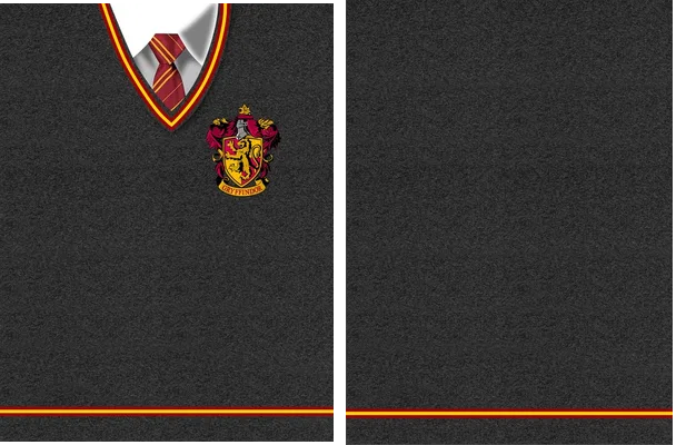 harry potter kit gryffindor