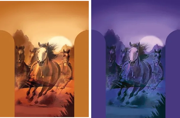 horse sports design