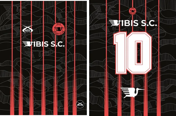 ibis s c concept