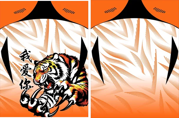 interclasse tigre naranja