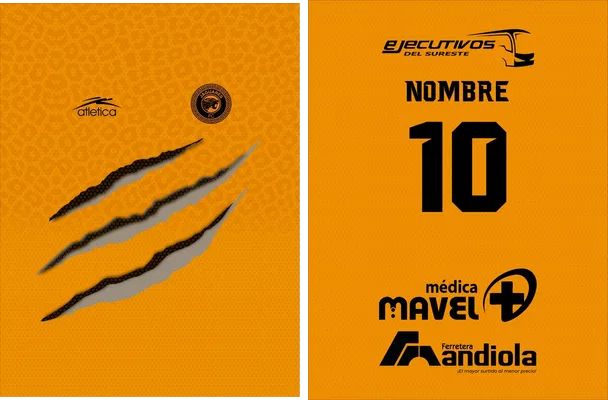 jaguares fc