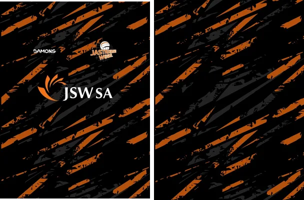 jastrzebski wegiel volleyball