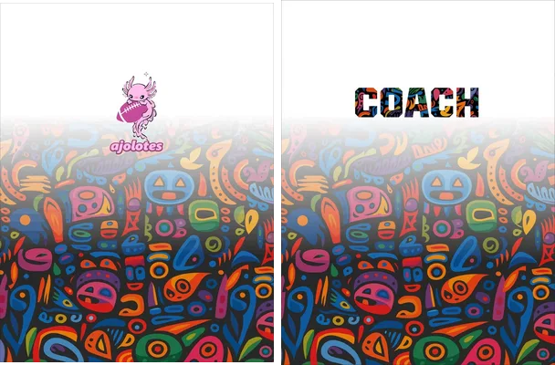 jersey alebrijes