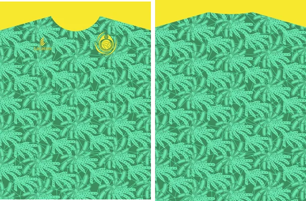 jersey buzo verde amarillo