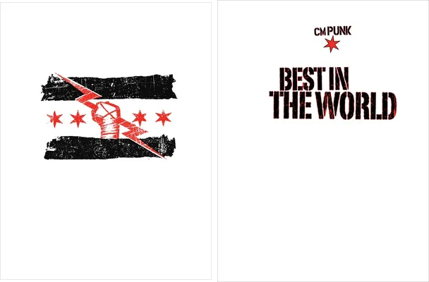 jersey cm punk best in the world
