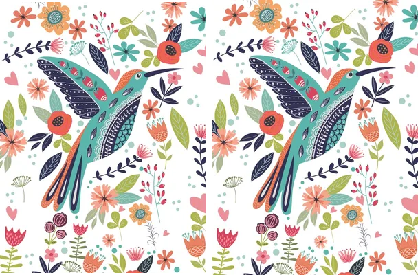 jersey colibri