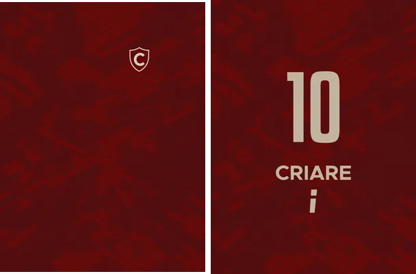jersey conchodevino lineal