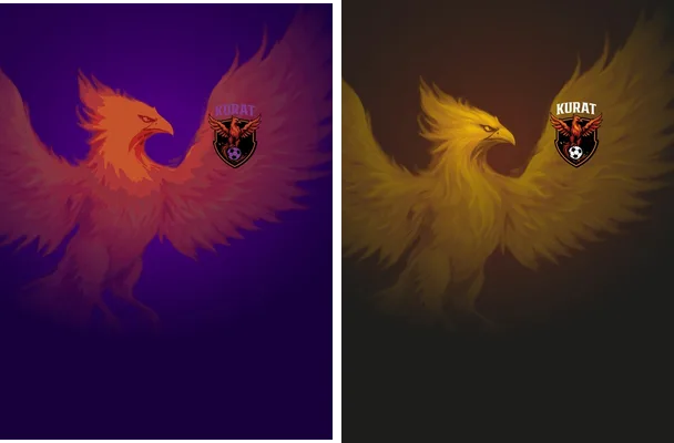 jersey fenix 2