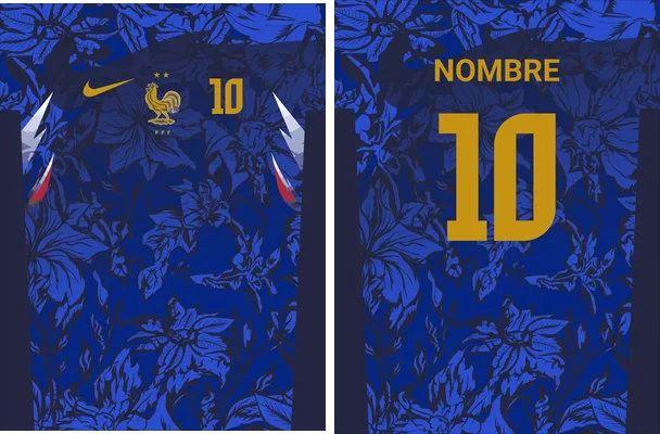 jersey francia concept floral