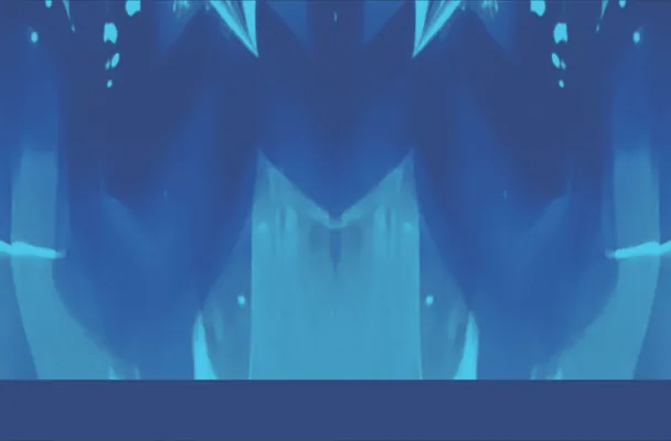 jersey goku 2