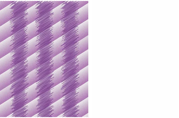 jersey morado