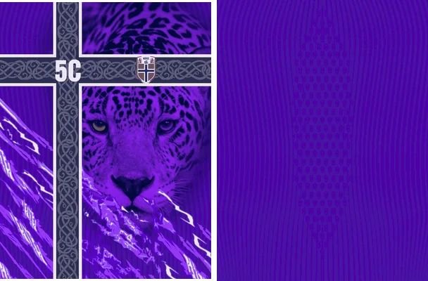 jersey noruega concept jaguar morado