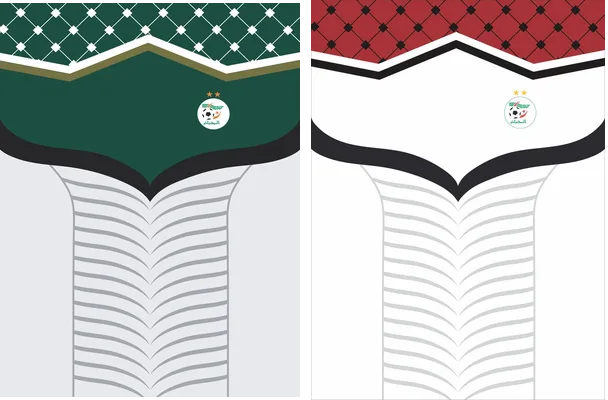 jersey palestina