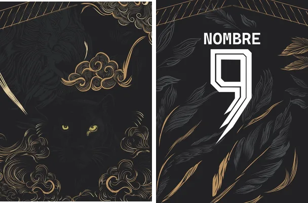 jersey pantera concept