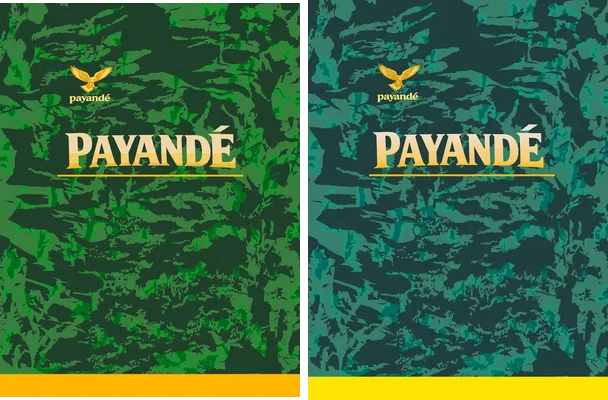 jersey payande color verde