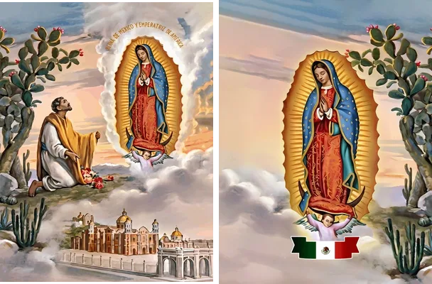 jersey virgen de guadalupe concept