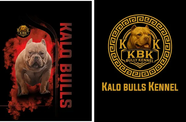 kalo bulls dogs design