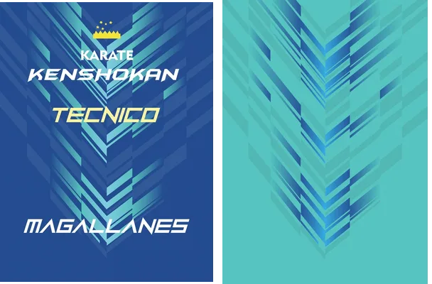 karate kenshokan design