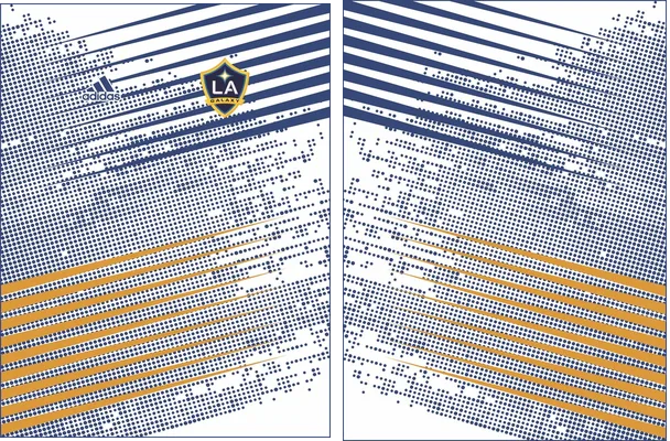 la galaxy concept