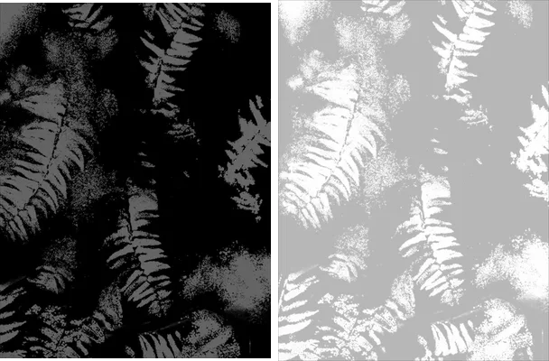leaves texture