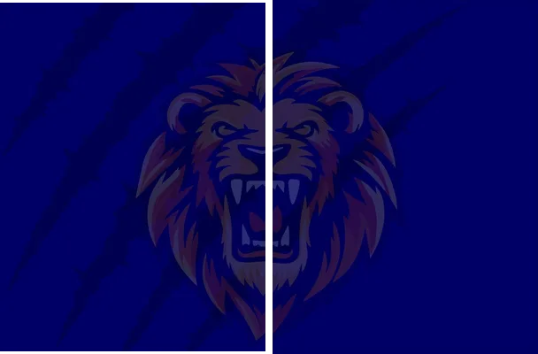 lion jersey concept