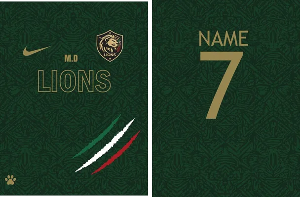 lions sport