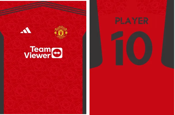 manchester united 2023 2024