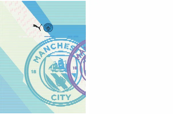 manchester 22 23 third kit