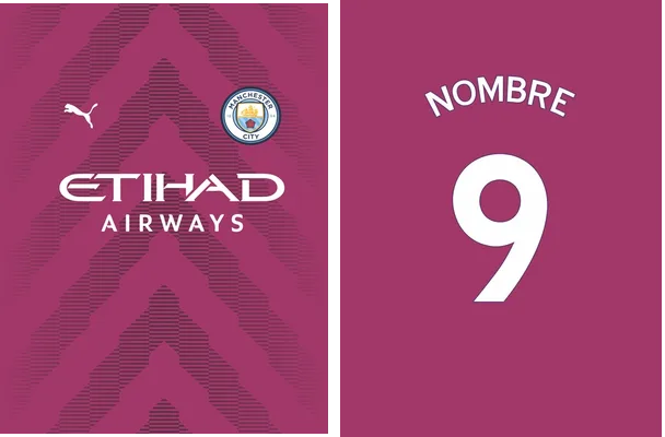 manchester city concept vector free download