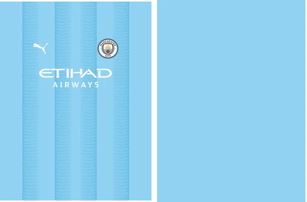 manchester city puma 2