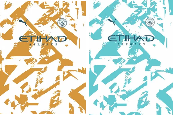 manchester city puma