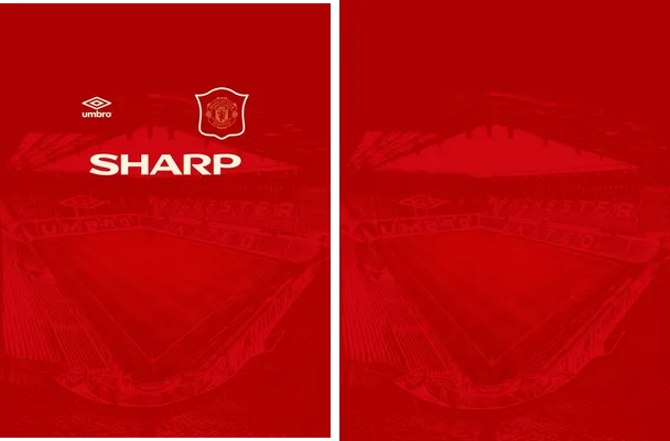 manchester united 1994 1996 local